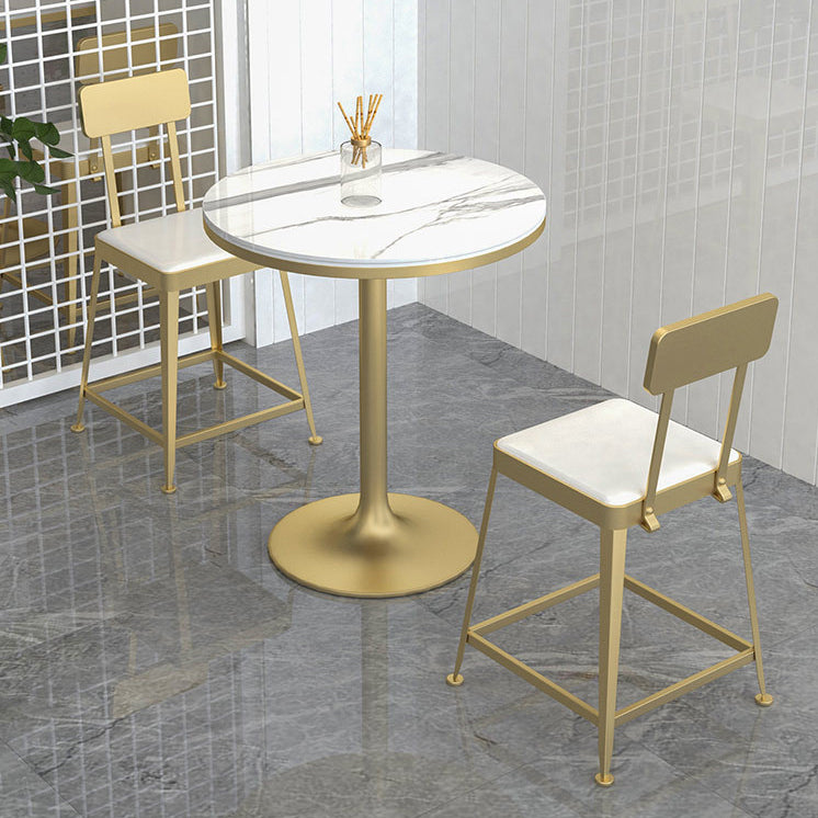 Glam Backrest Armless Counter Stool Iron Bar Stool with Cushion and Pedal for Cafe