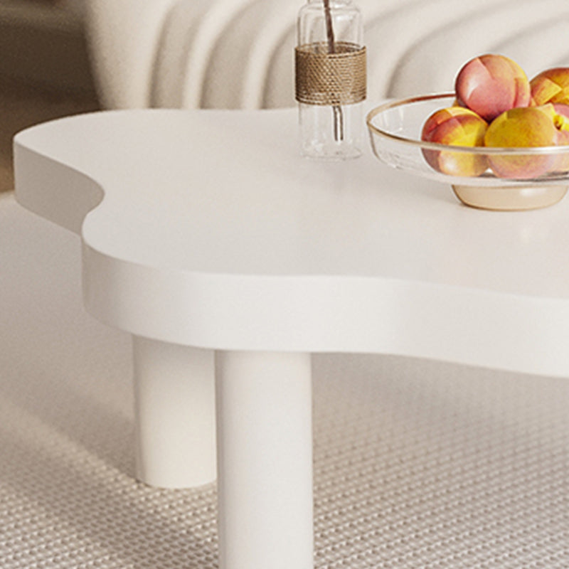 Solid Wood Single Coffee Table 3 Legs Free-Form Coffee Table