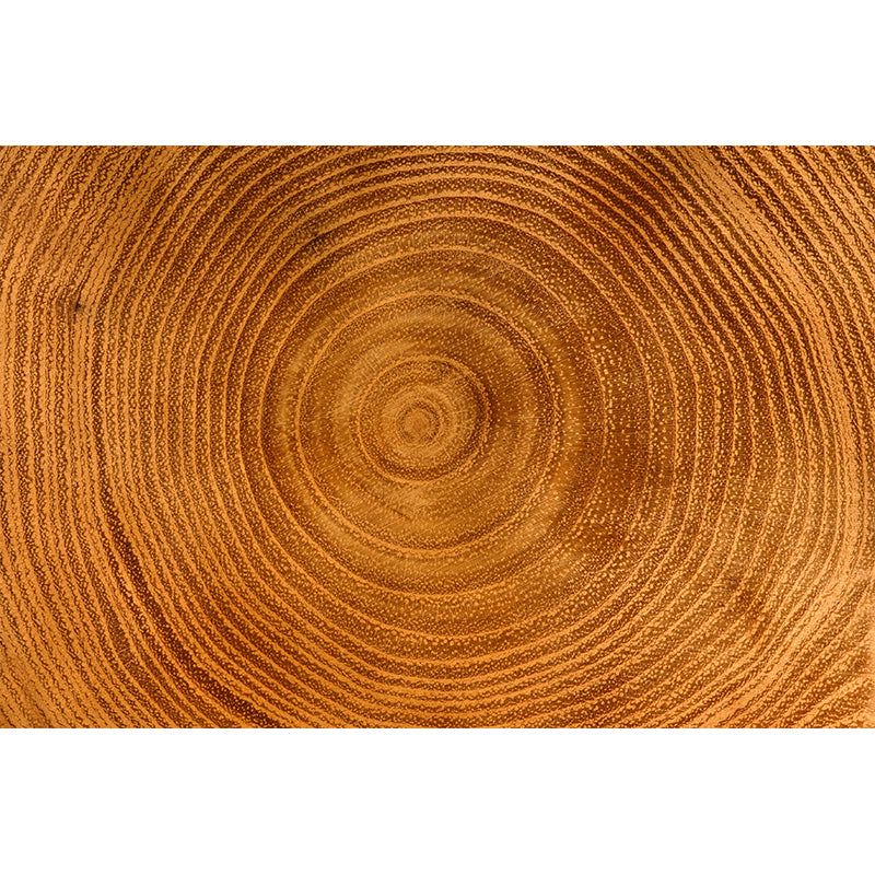Illustration Stain Resistant Wallpaper Wood Grain Living Room Wall Mural