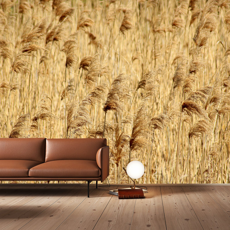 Photography Wall Mural Wallpaper Plant Sitting Room Wall Mural
