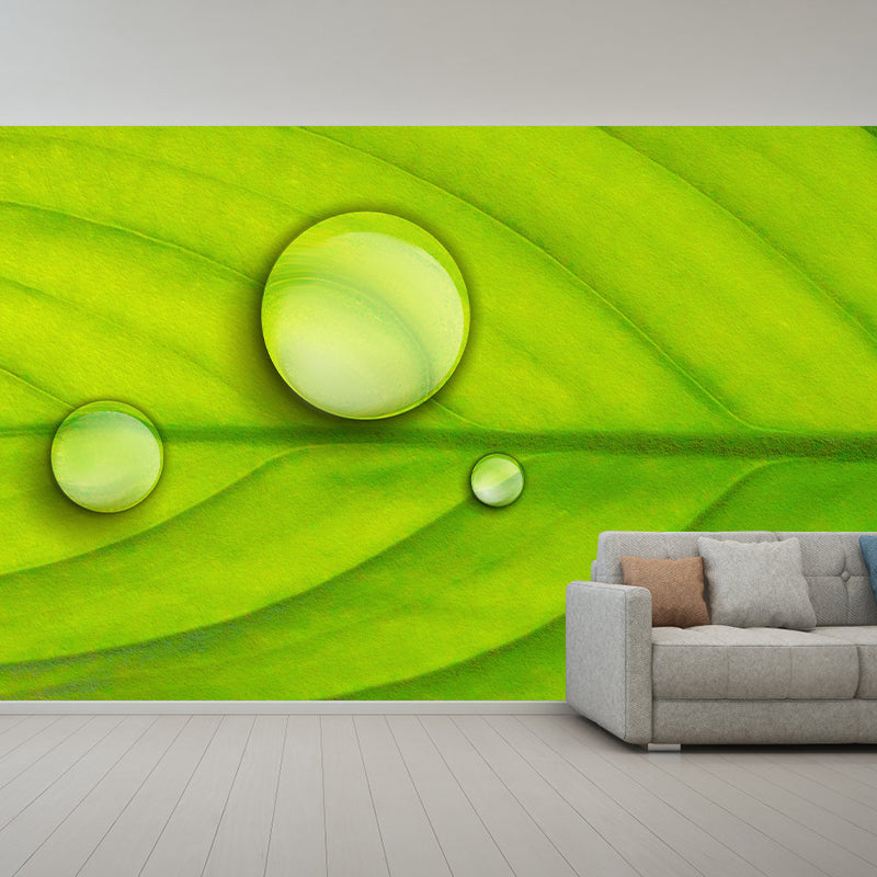 Photography Wall Mural Wallpaper Plant Sitting Room Wall Mural
