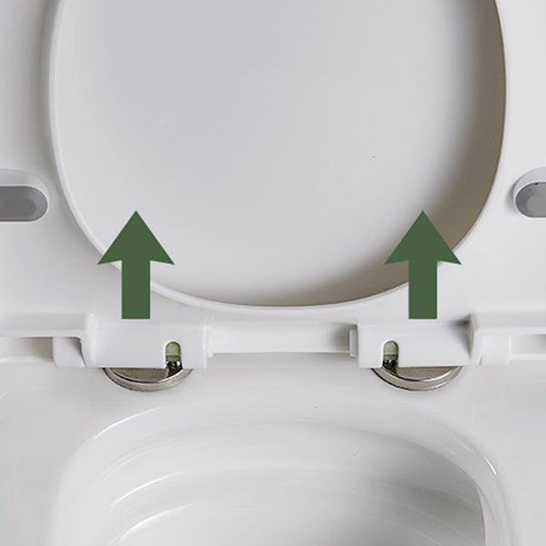 Traditional Flush Toilet All-In-One Floor Mounted Siphon Jet Porcelain Toilet