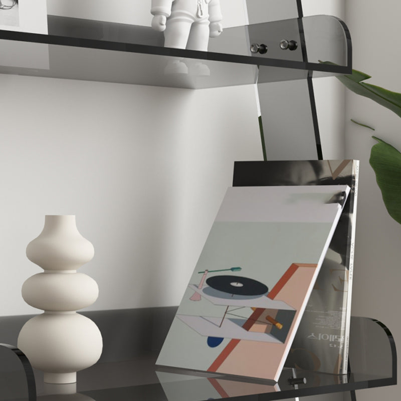 Contemporary Acrylic Bookcase Standard Open Back Bookshelf with Shelves