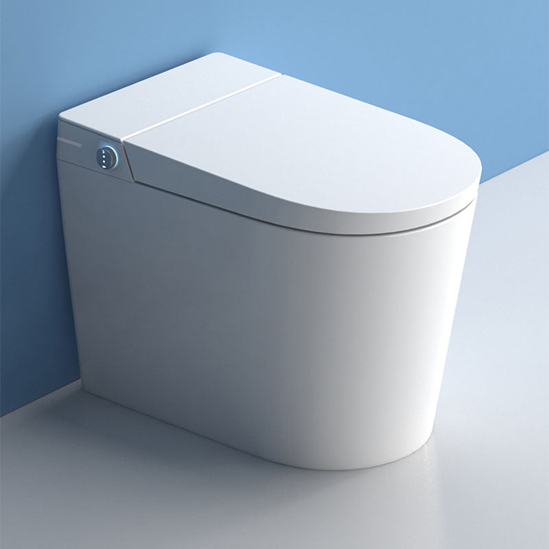Contemporary Flush Toilet Floor Mounted One-Piece Toilet Porcelain Urine Toilet