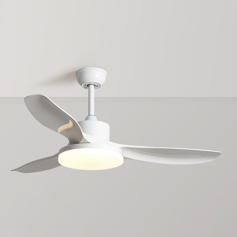 1 - Light Contemporary Ceiling Fan 3 - Blades Fan Light for Room