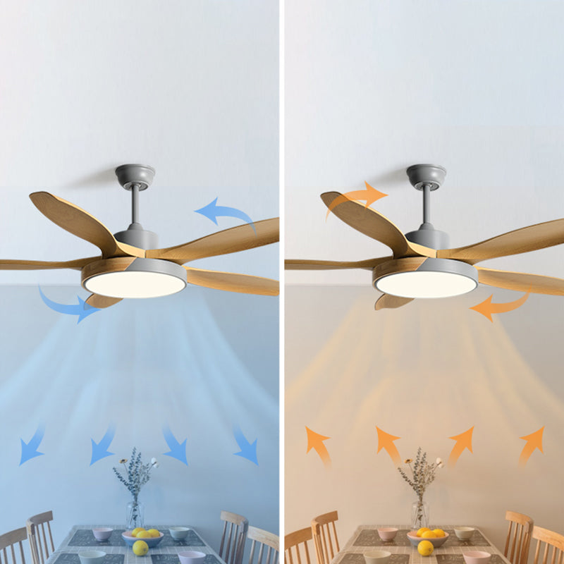 1 - Light Ceiling Fan Light Minimalist Metal and Acrylic Fan Light Ceiling