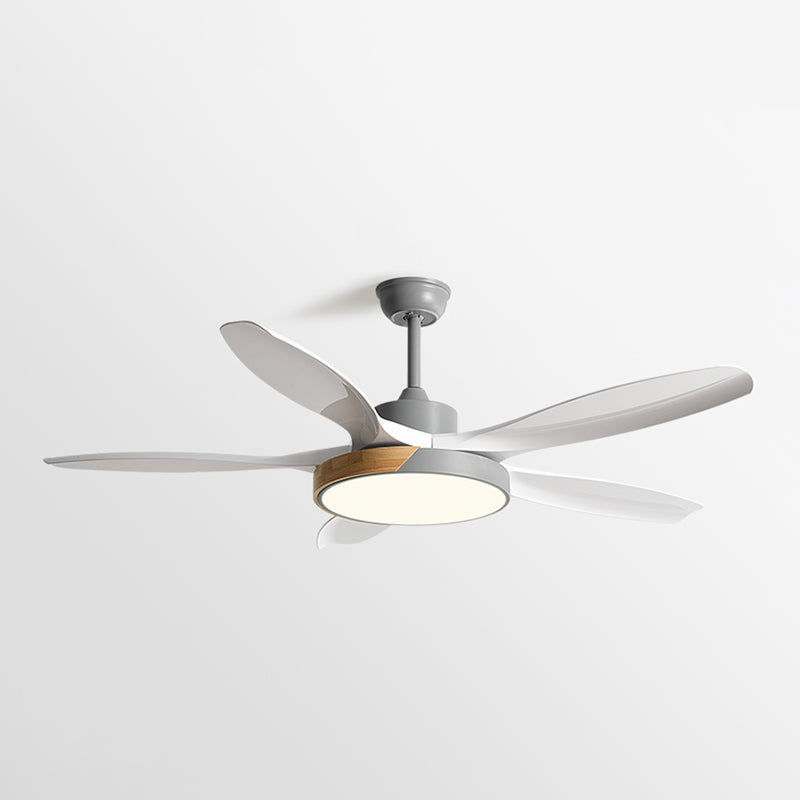 1 - Light Ceiling Fan Light Minimalist Metal and Acrylic Fan Light Ceiling