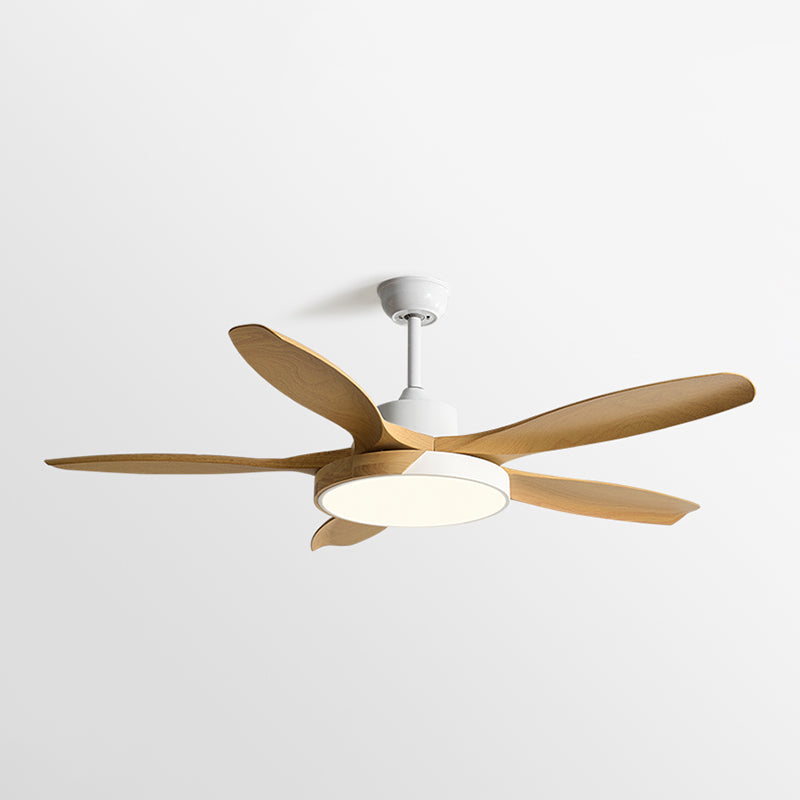 1 - Light Ceiling Fan Light Minimalist Metal and Acrylic Fan Light Ceiling