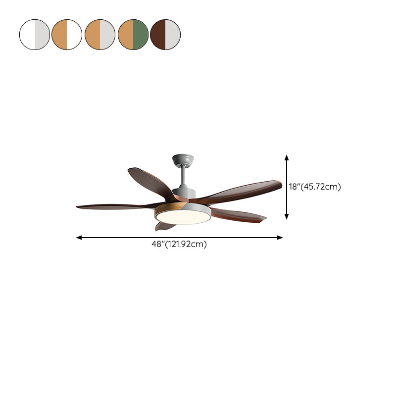 1 - Light Ceiling Fan Light Minimalist Metal and Acrylic Fan Light Ceiling