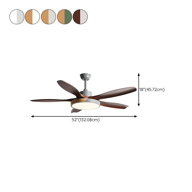 1 - Light Ceiling Fan Light Minimalist Metal and Acrylic Fan Light Ceiling