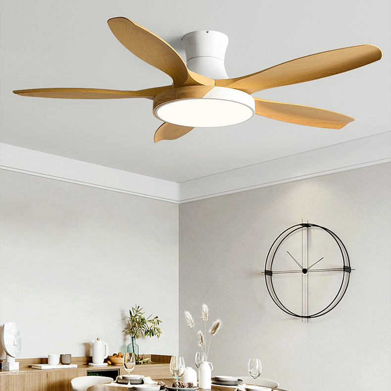 1 - Light Contemporary Ceiling Fan Metal 5 - Blades Fan Lighting Fixture