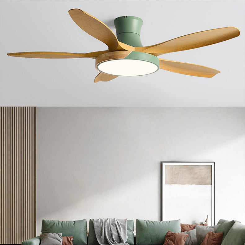 1 - Light Contemporary Ceiling Fan Metal 5 - Blades Fan Lighting Fixture