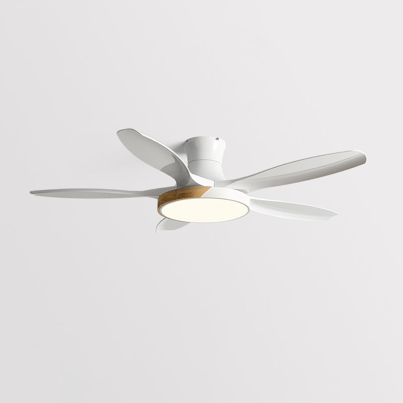 1 - Light Contemporary Ceiling Fan Metal 5 - Blades Fan Lighting Fixture