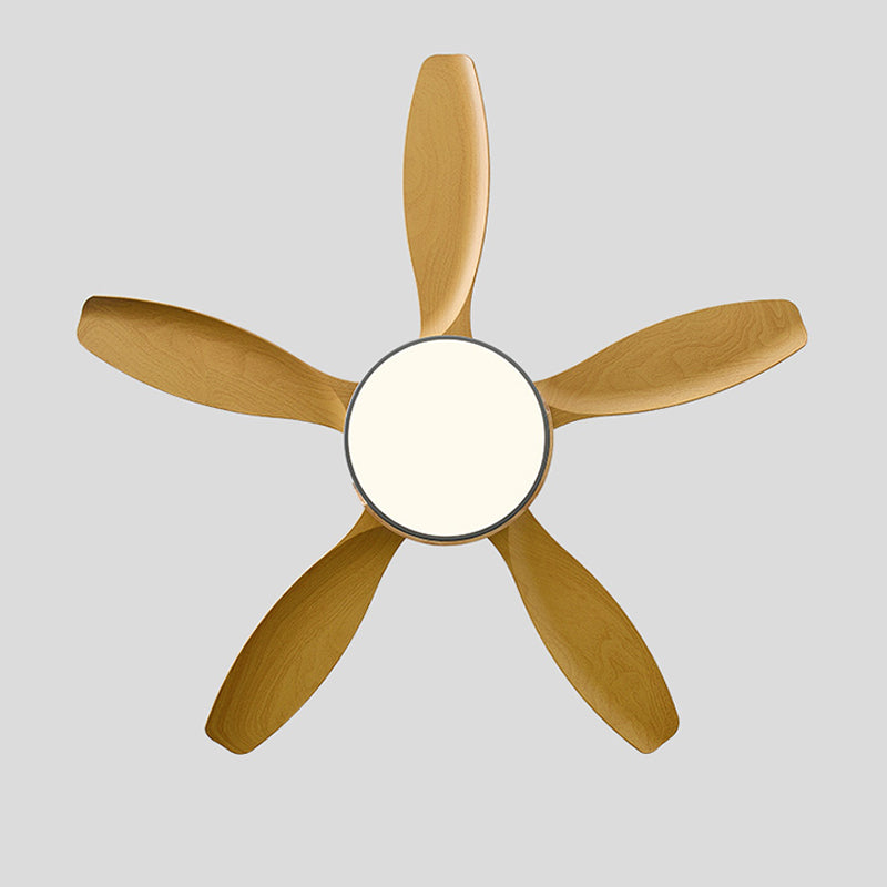 1 - Light Contemporary Ceiling Fan Metal 5 - Blades Fan Lighting Fixture