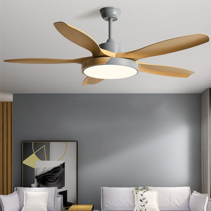 1 - Light Contemporary Ceiling Fan Metal 5 - Blades Fan Lighting Fixture