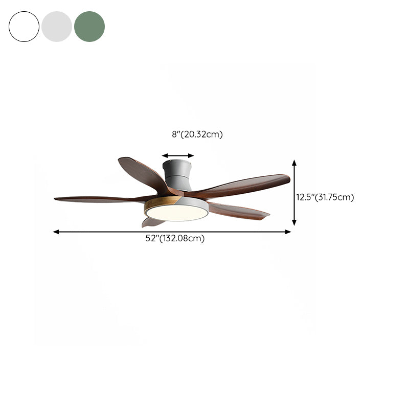 1 - Light Contemporary Ceiling Fan Metal 5 - Blades Fan Lighting Fixture