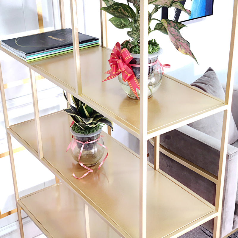 Modern Open Back Standard Bookshelf Metal Bookcase for Study Room