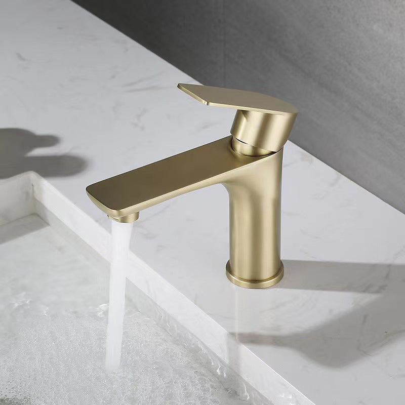 Stainless Steel Bathroom Lavatory Faucet 1 Handle Hot and Cold Basin Faucet with Hoses