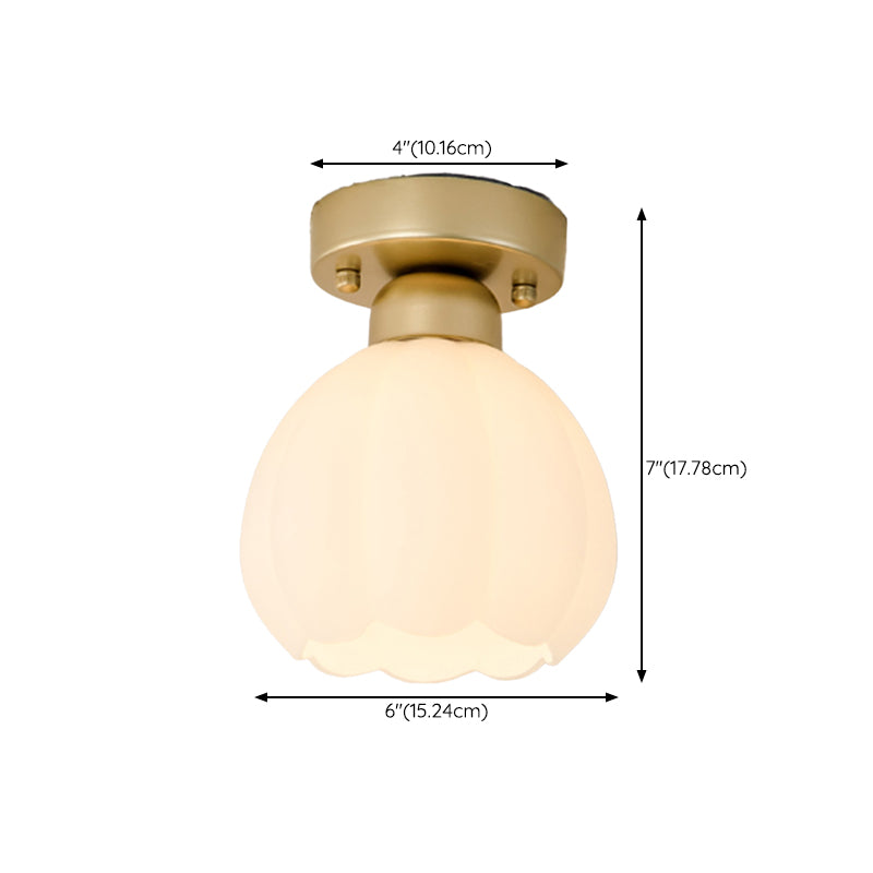 Modern Simple Metal Ceiling Light Ball Shape Ceiling Lamp for Living Room