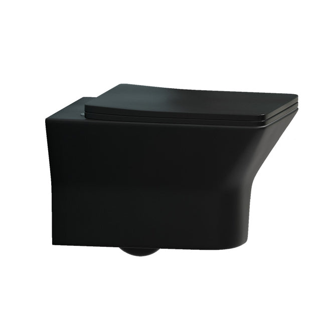 Contemporary Flush Toilet Wall Mount One-Piece Toilet Porcelain Toilet Bowl