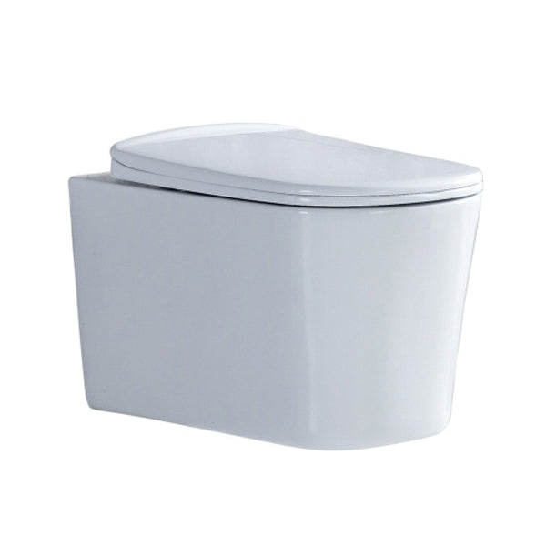 Contemporary All-In-One Flush Toilet Wall Mount Porcelain Toilet