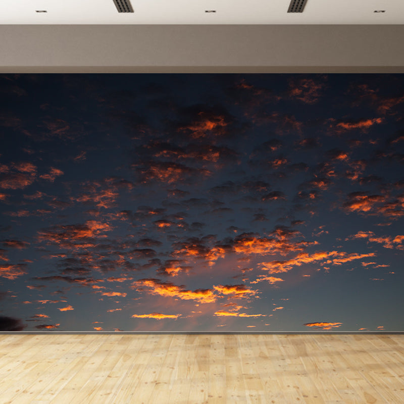 Decorative Mural Wallpaper Sky Photography Indoor Wall Mural