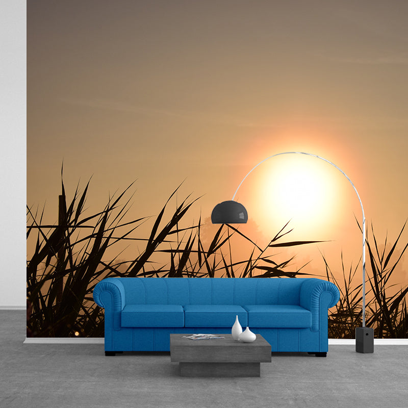 Decorative Mural Wallpaper Sky Photography Indoor Wall Mural