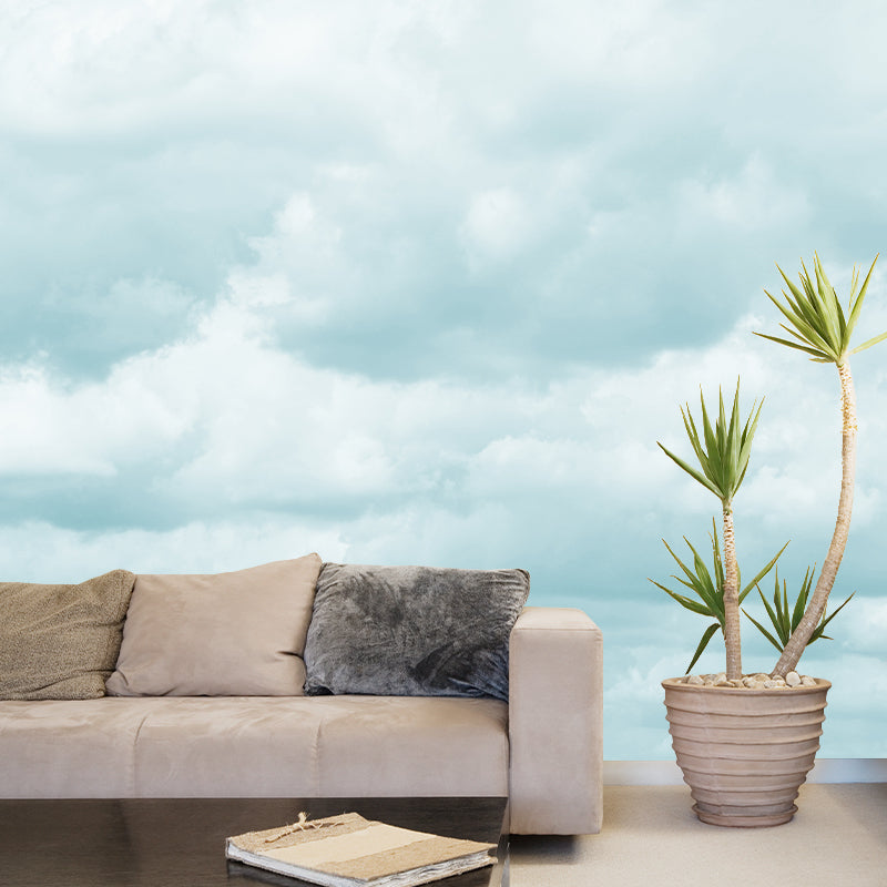 Decorative Mural Wallpaper Sky Photography Indoor Wall Mural