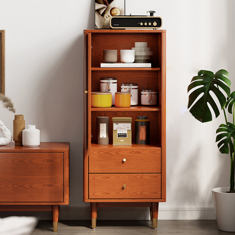 Modern Two Drawer Accent Cabinet Rectangular Wooden and Glass 1-Door Cabinet