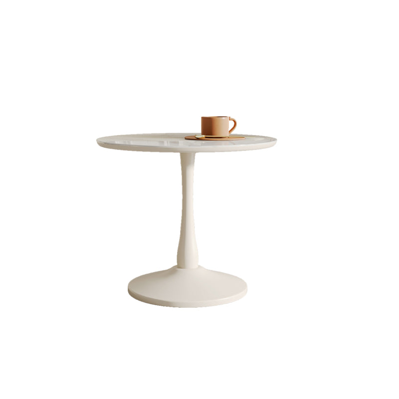 Pedestal 2-Piece Coffee Table Set Modern Round Tray Top Cocktail Table with Storage