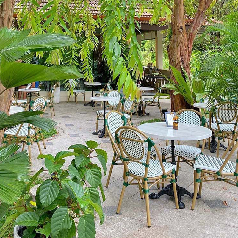 Tropical High Backrest Outdoors Dining Chairs with Rattan Dining Armchair