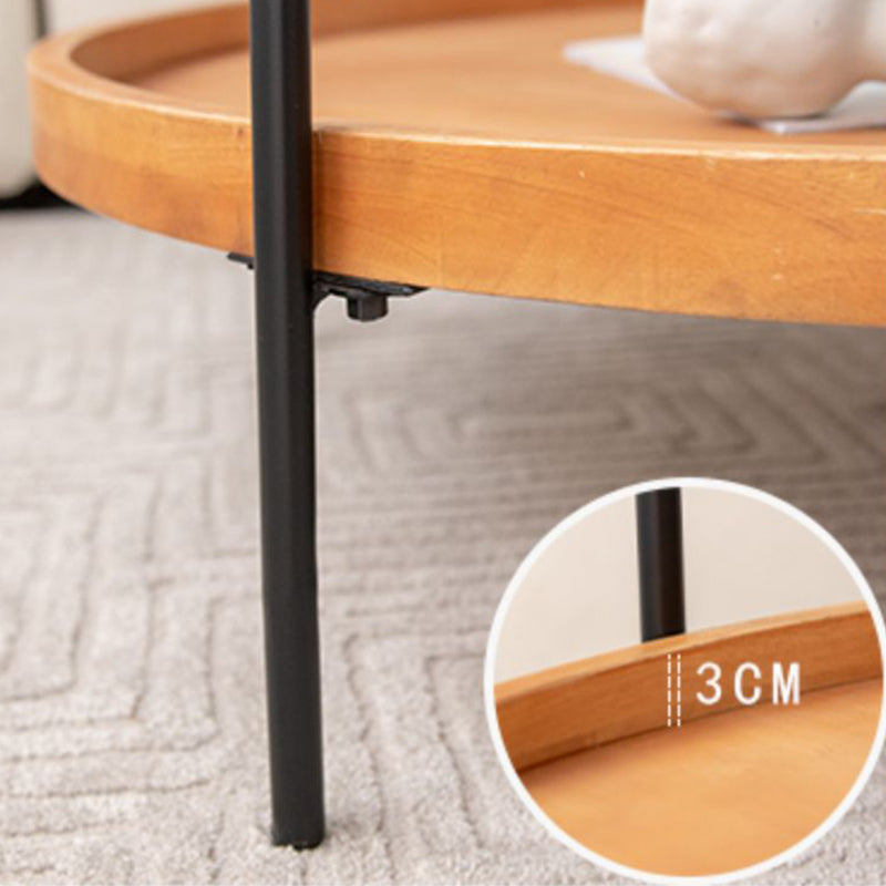 32" Wide Tropical Coffee Table Glass Storage Coffee Cocktail Table