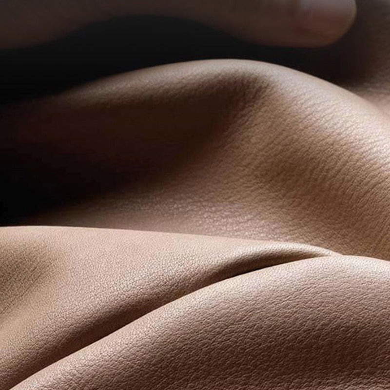 Contemporary Sectional Sofa Pillow Top Arm Sofa for Living Room