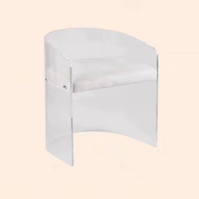 Modern Simple Arm Chair Plastic Frame Dining Arm Chair for Living Room