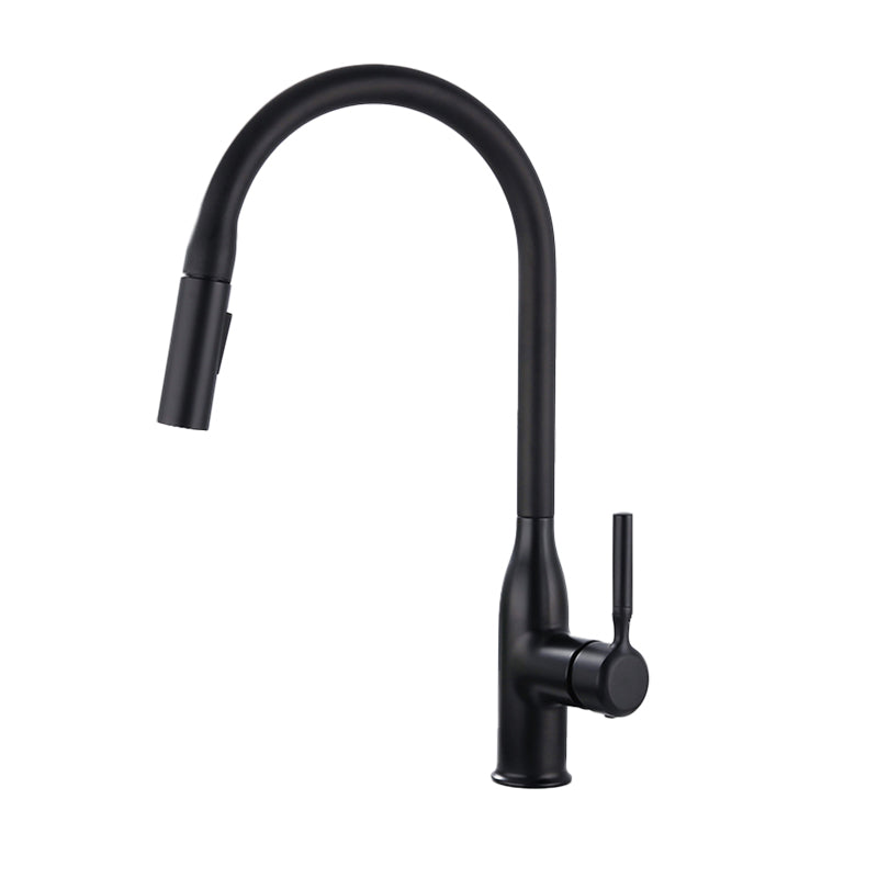 Classic Sink Faucet Metal Solid Color Standard Kitchen Faucet