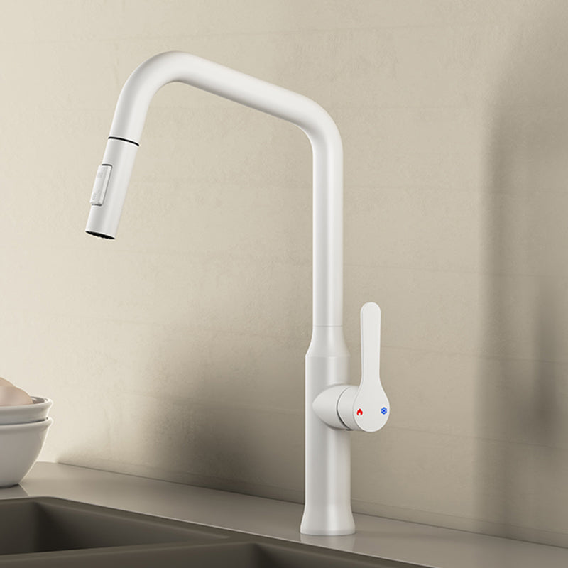 Swivel Spout Kitchen Sink Faucet 304 Stainless Steel with Pull Out Sprayer