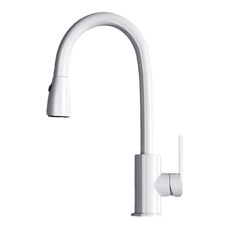 Contemporary Swivel Spout Standard Kitchen Faucet with Pull Down Sprayer