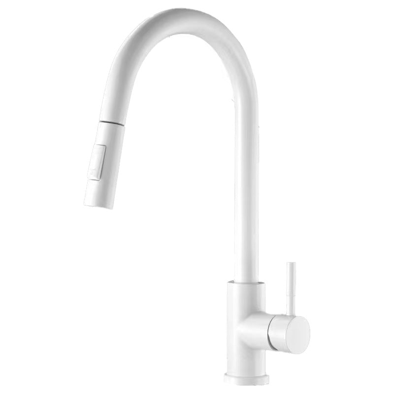 Contemporary Spray Kitchen Faucet Pulldown Sprayer Bridge Faucet