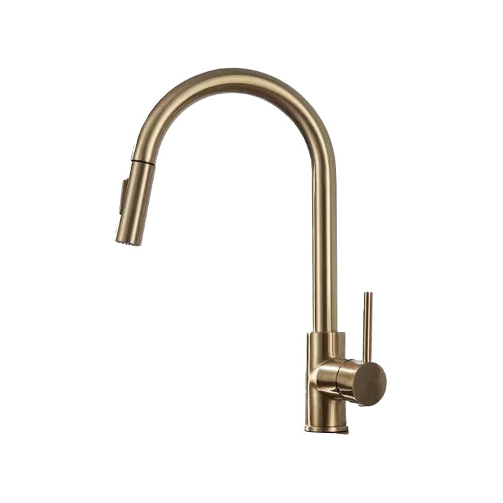 Contemporary Spray Kitchen Faucet Pulldown Sprayer Bridge Faucet