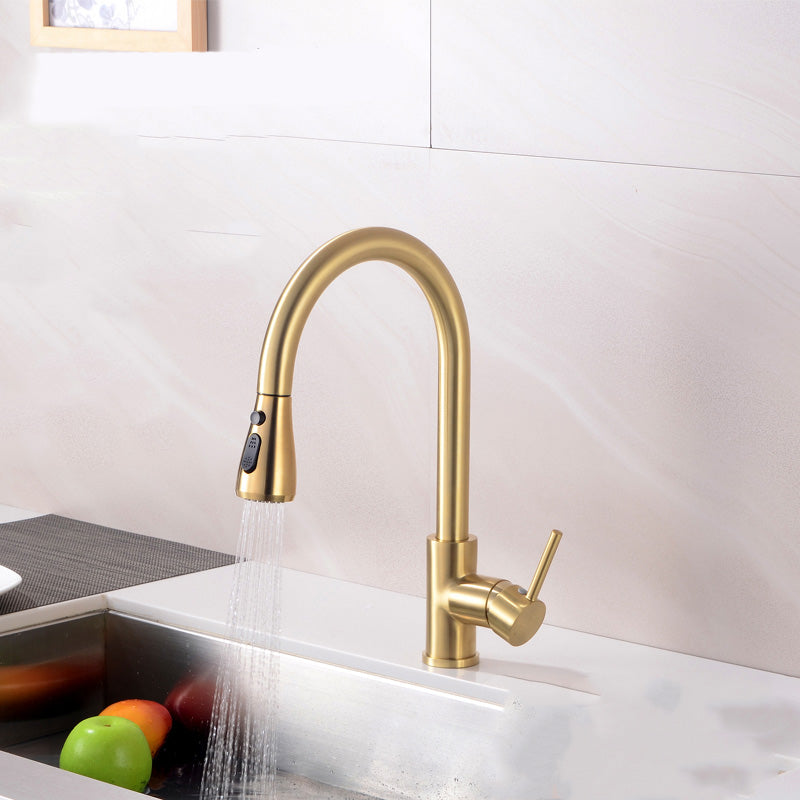 Contemporary Spray Kitchen Faucet Pulldown Sprayer Bridge Faucet