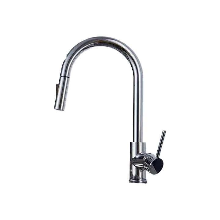 Contemporary Spray Kitchen Faucet Pulldown Sprayer Bridge Faucet