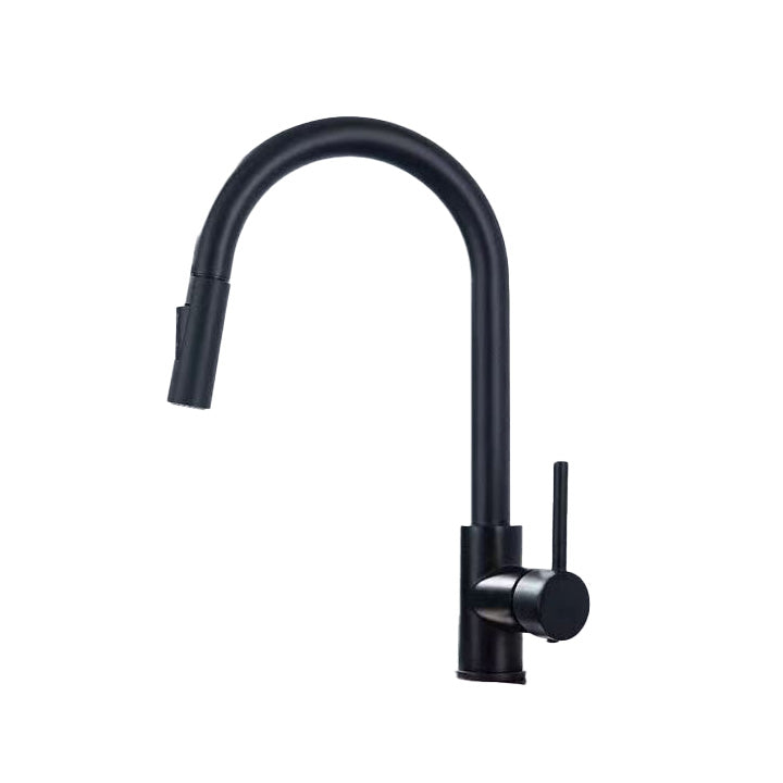 Contemporary Spray Kitchen Faucet Pulldown Sprayer Bridge Faucet