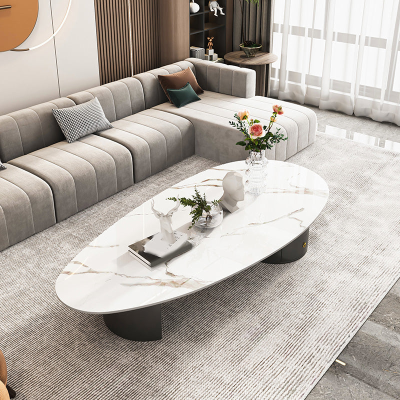 2 Legs Single Coffee Table Slate Oval Coffee Table with Storage