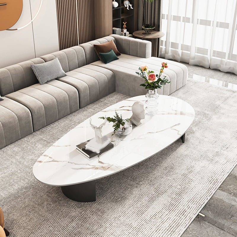 2 Legs Single Coffee Table Slate Oval Coffee Table with Storage