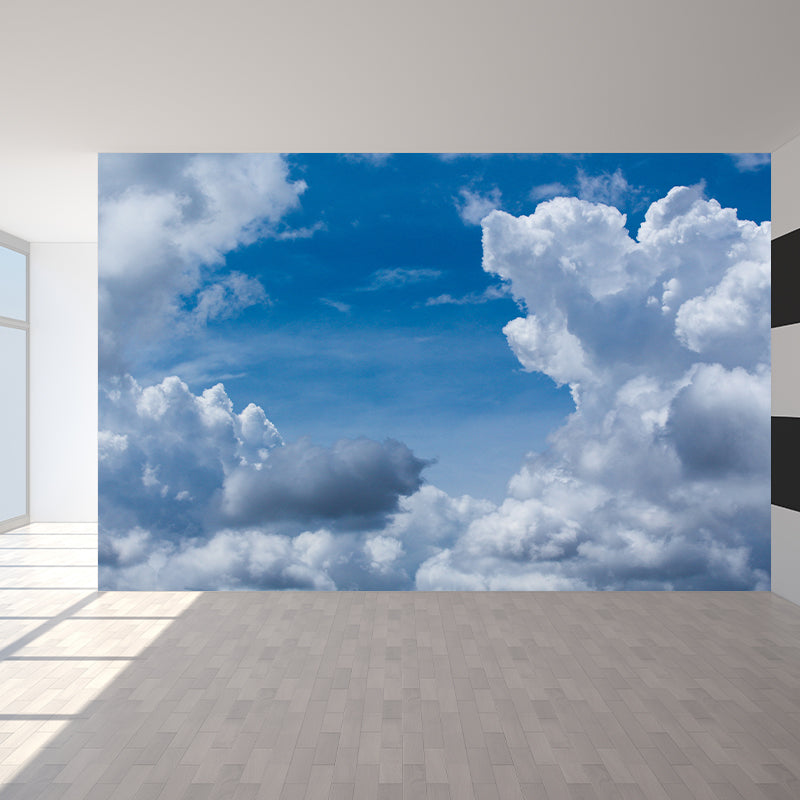 Sky Photography Mural Wallpaper Environment Friendly Indoor Wall Mural