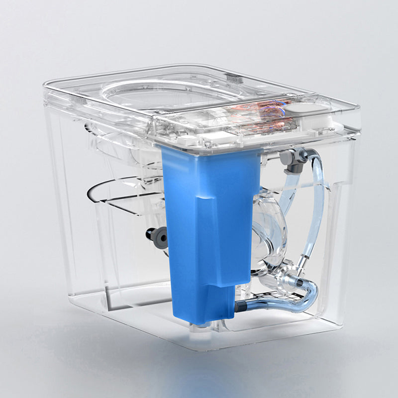 Modern Floor Mounted Flush Toilet Siphon Jet Urine Toilet with Heated Seat for Bathroom