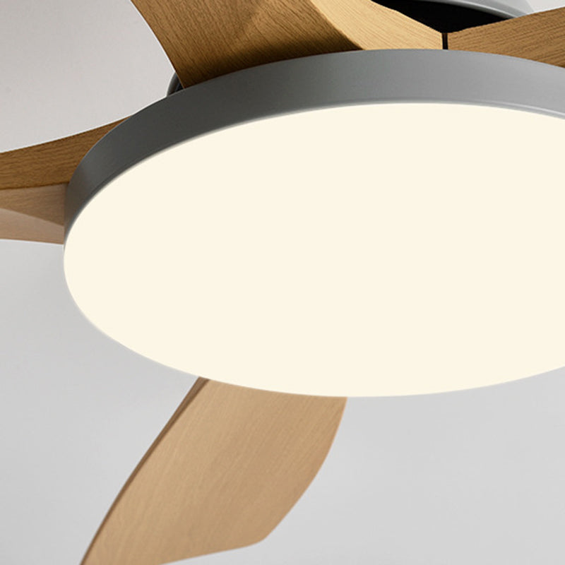Nordic Ceiling Fan Light Fixture Modern LED Ceiling Lamp for Bedroom