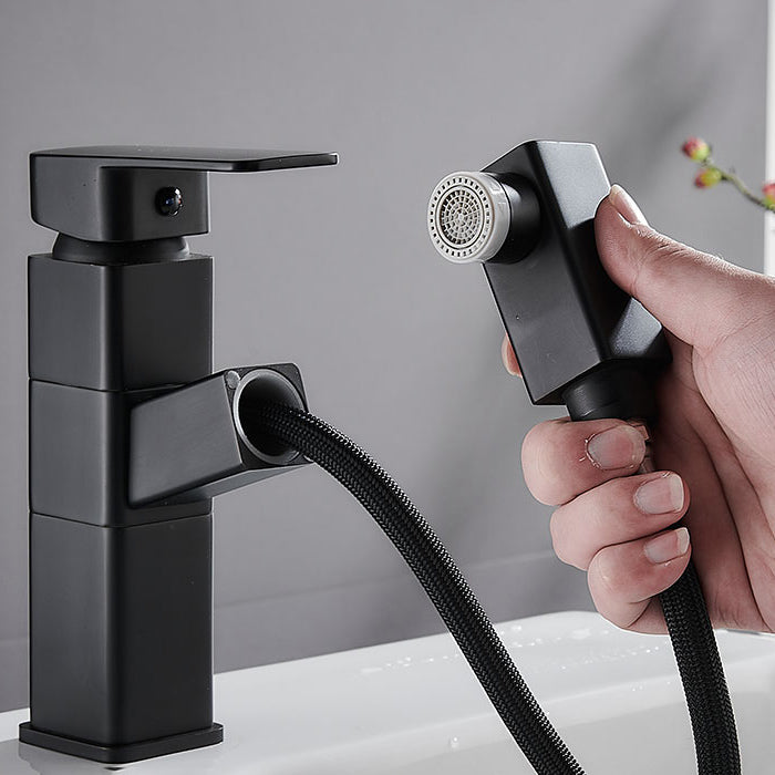 Modern Bathroom Vessel Faucet Swivel Spout Single Handle Faucet with Pull down Sprayer