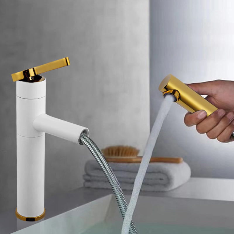 Swivel Spout Bathroom Sink Faucet with Single Handle Brass Faucet