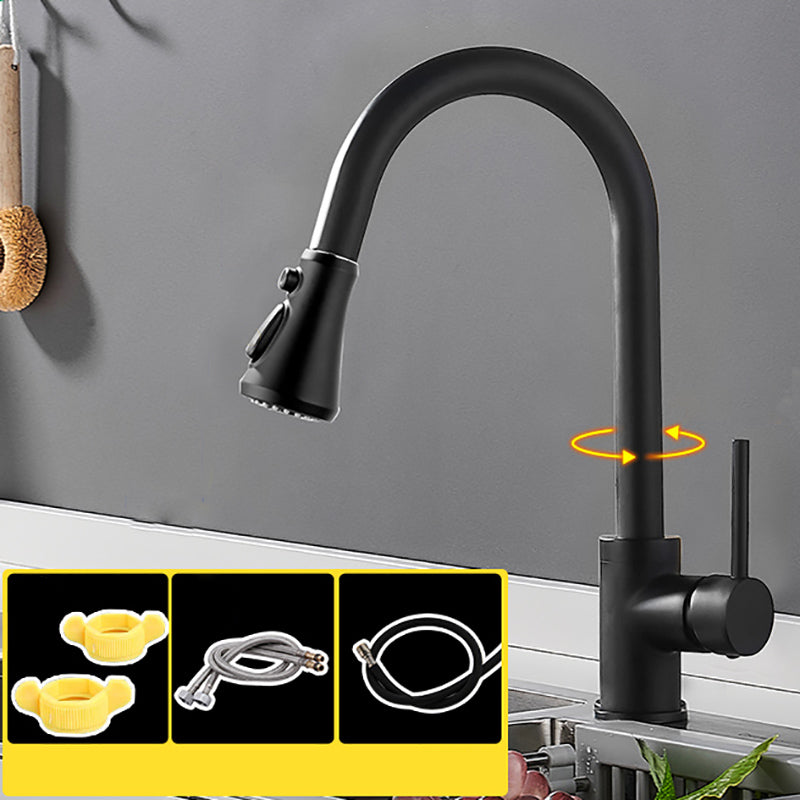 Modern Pullable Sprayer Water Filler One Handle High Arch Kitchen Faucet